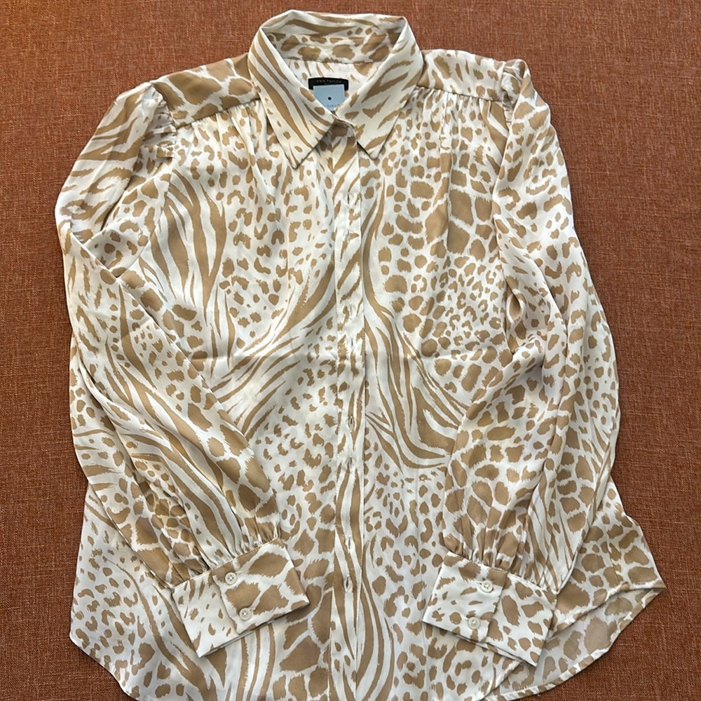 Ann Taylor shirt